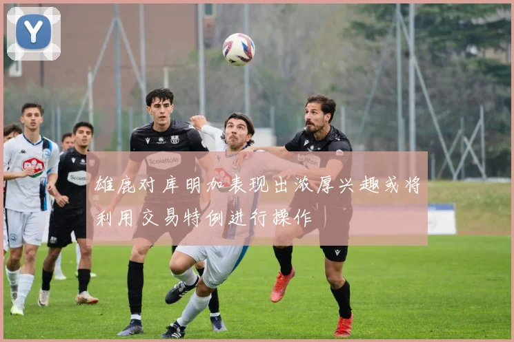 雄鹿对库明加表现出浓厚兴趣或将利用交易特例进行操作